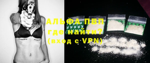 крисы Бородино