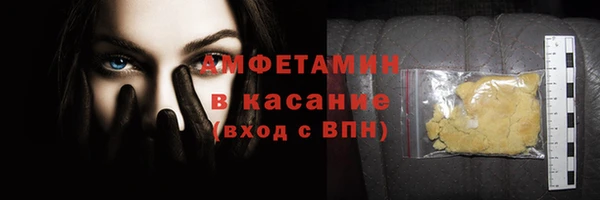 крисы Бородино