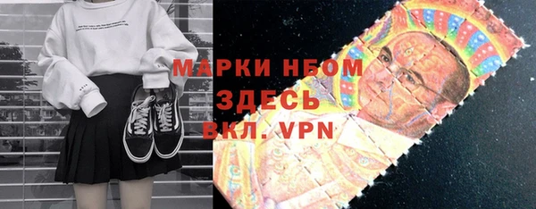 крисы Бородино