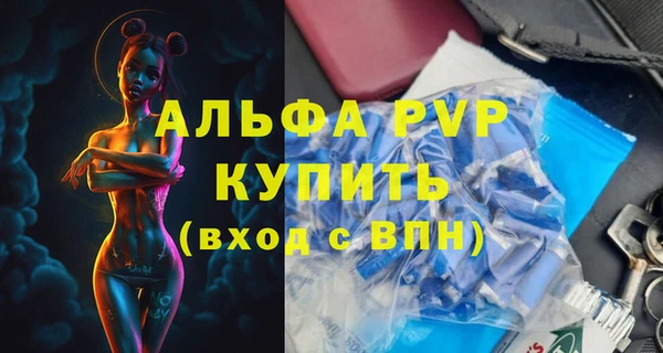 крисы Бородино
