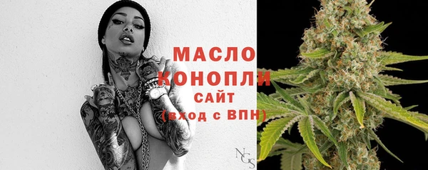 крисы Бородино