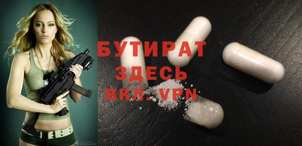 крисы Бородино