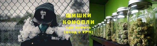 крисы Бородино